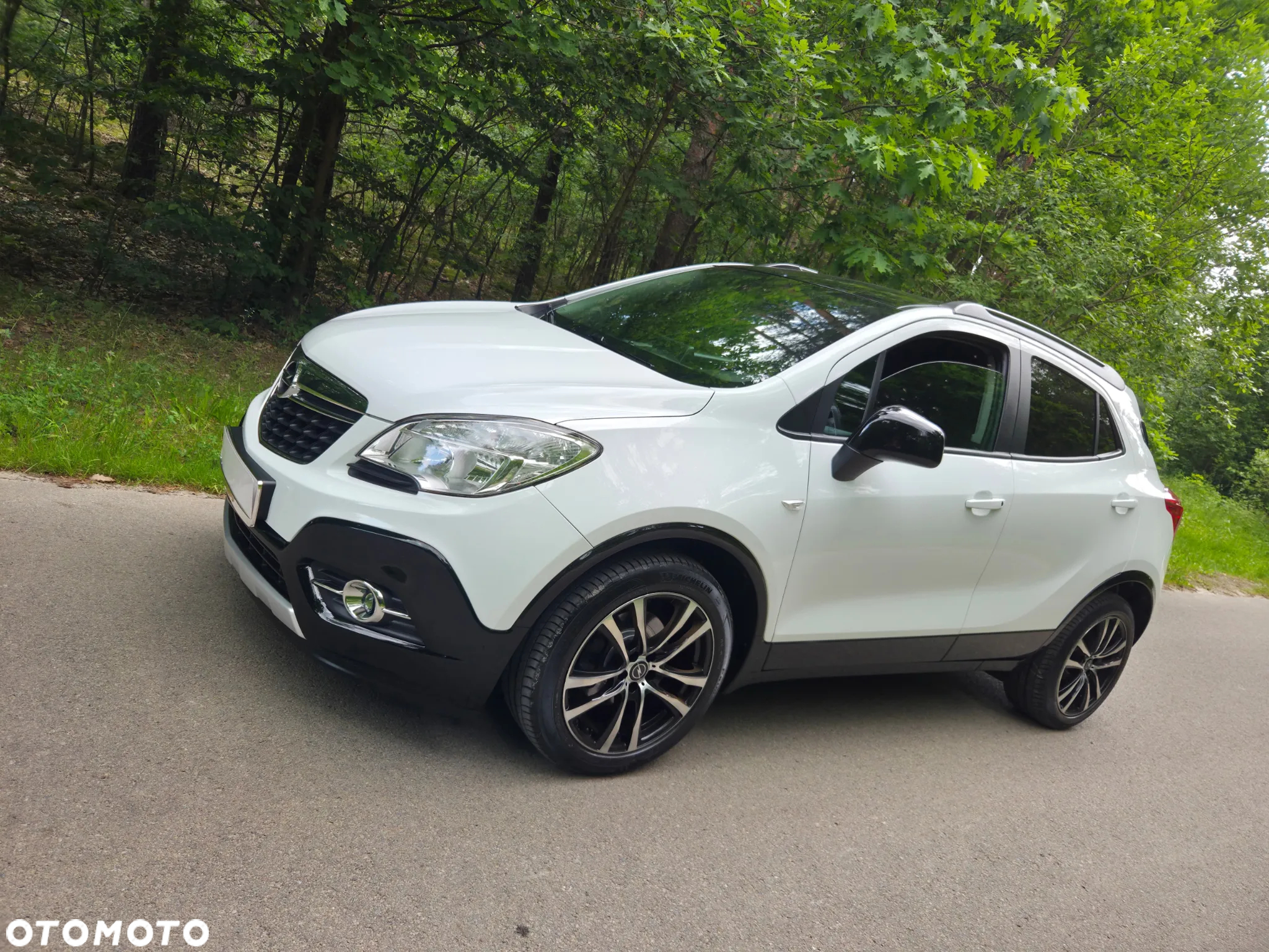 Opel Mokka 1.6 Cosmo S&S - 11