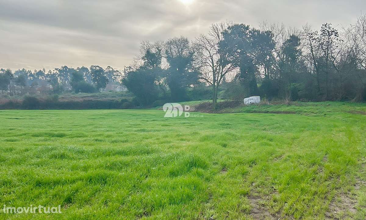 Terreno 10.000m² - Lemenhe - Grande imagem: 5/12