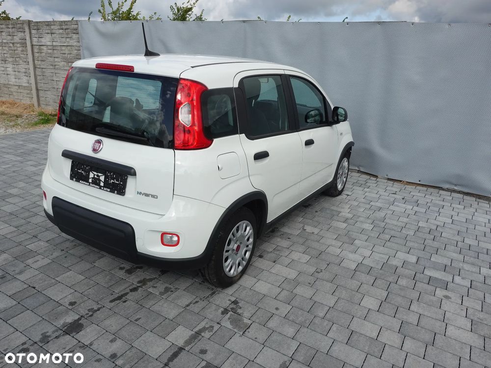 Fiat Panda 1.0 Hybrid Easy - 1