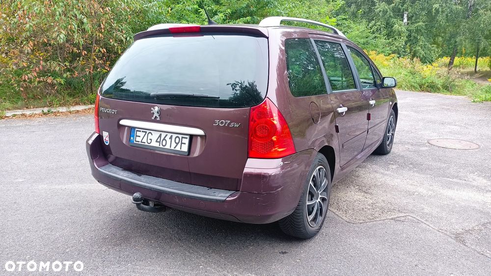 Peugeot 307 2.0 - 8