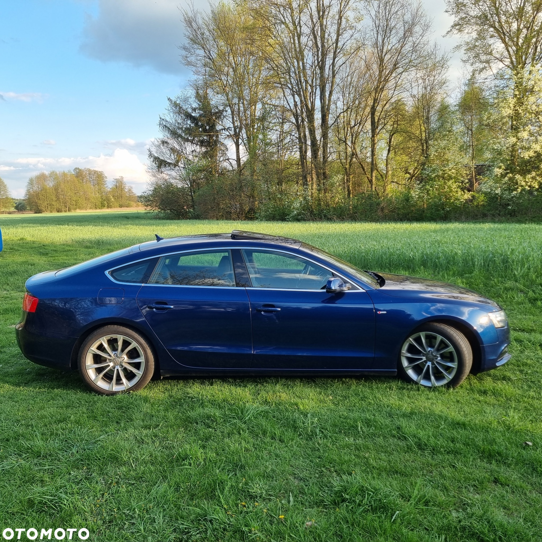 Audi A5 2.0 TDI Quattro S tronic - 5