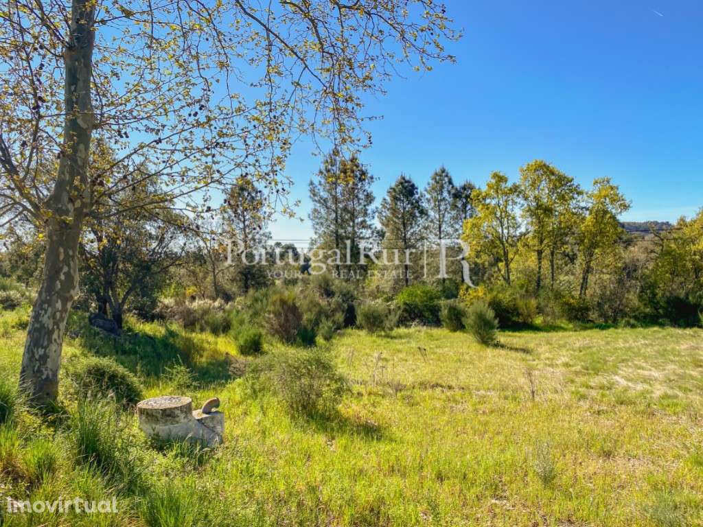 Terreno rústico com 22.760 m² em Monsanto - Grande imagem: 4/6