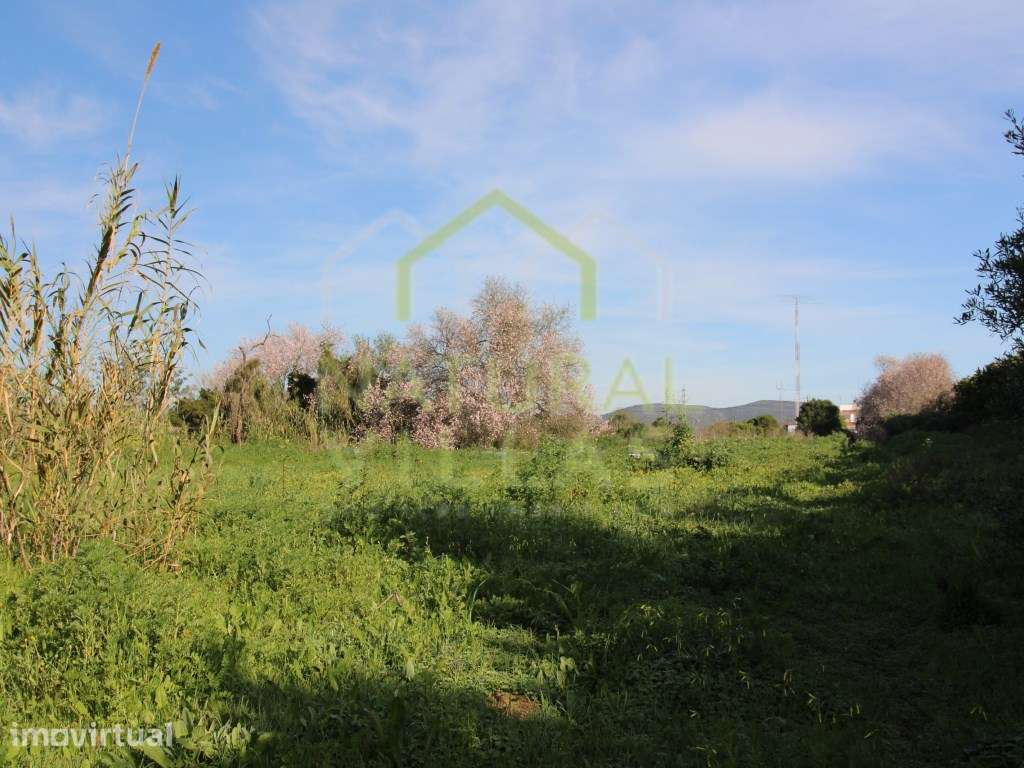 Serenidade Verde: Terreno com Vista Panorâmica em Mata Lobos, Faro - Grande imagem: 3/8