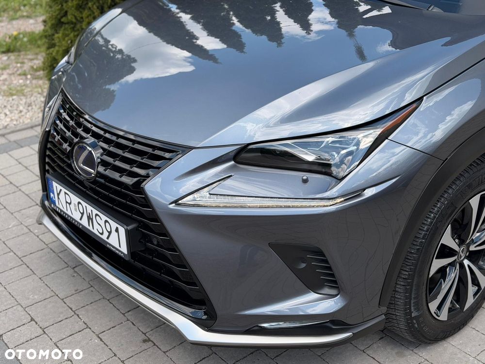 Lexus NX - 18