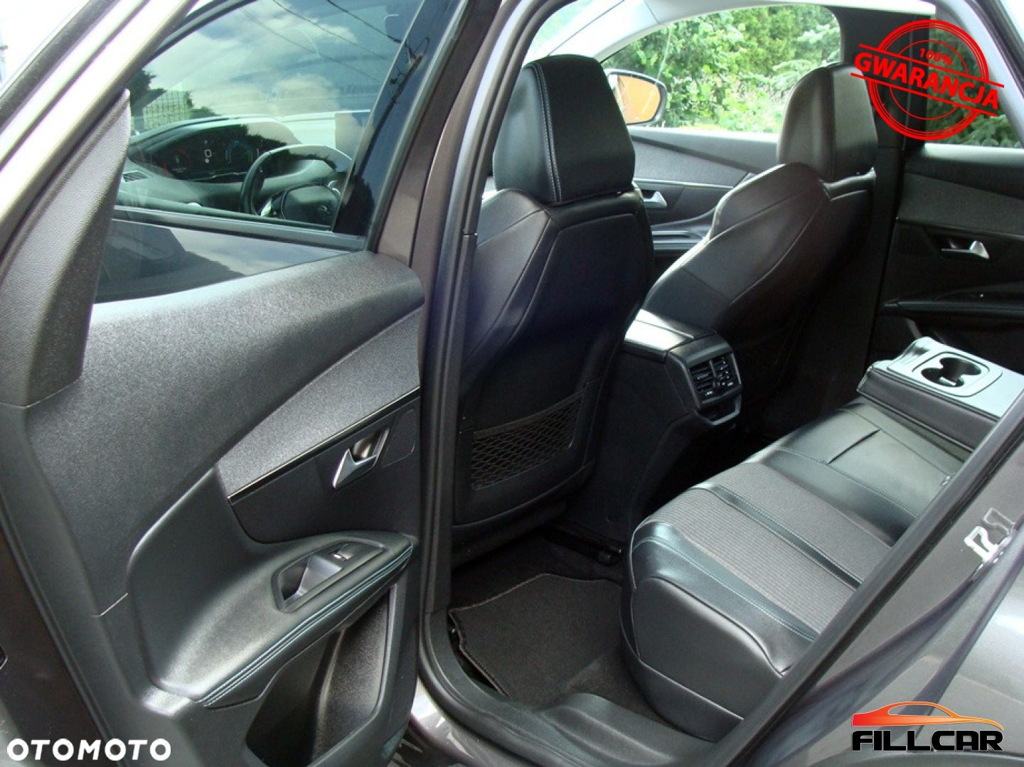 Peugeot 3008 - 19