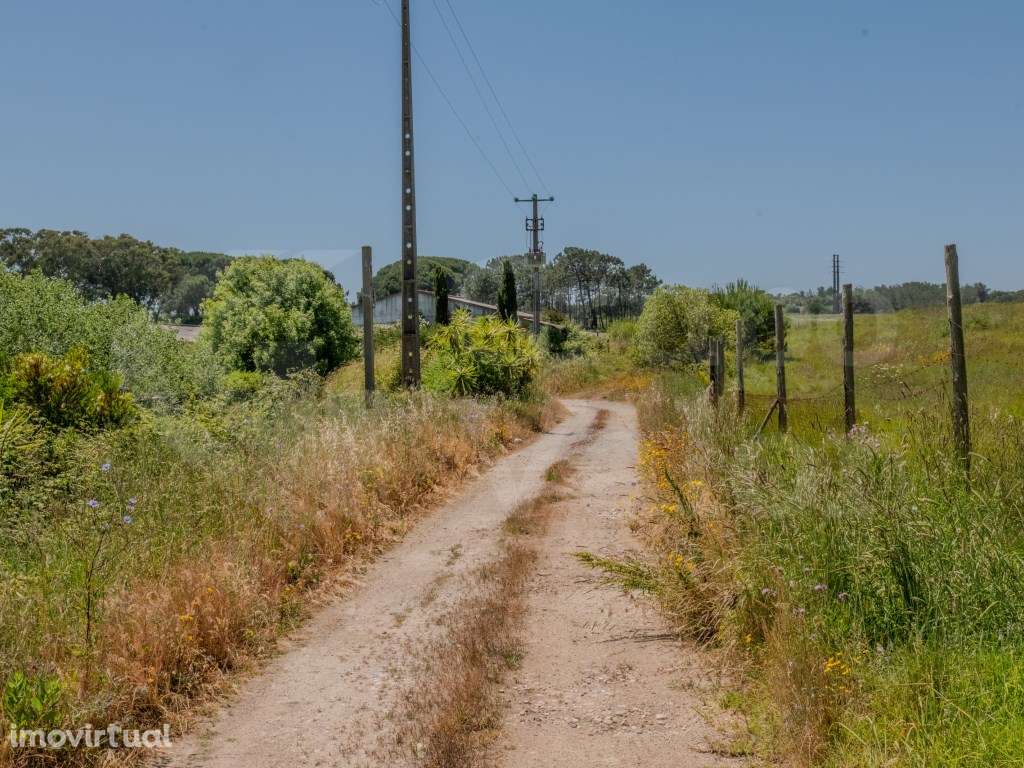 Espaço de armazéns com 2396 m2, três habitações e terreno com 89000m2 - Grande imagem: 3/21