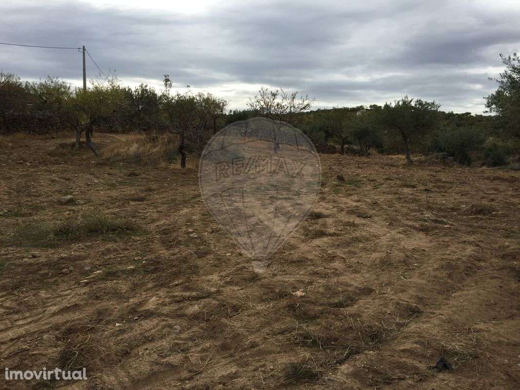 Terreno  para venda - Grande imagem: 3/7