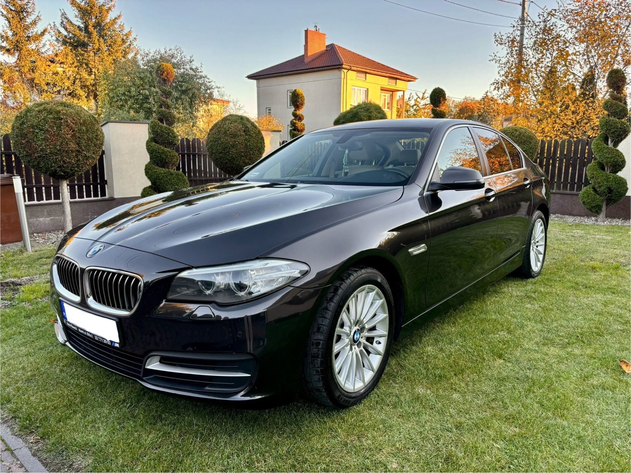 BMW Seria 5 520d xDrive Luxury Line - 1