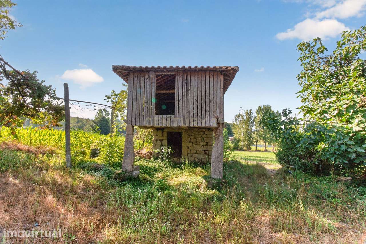 Quinta de Verim – 22.000 m² de história, natureza e potencial - Grande imagem: 2/39