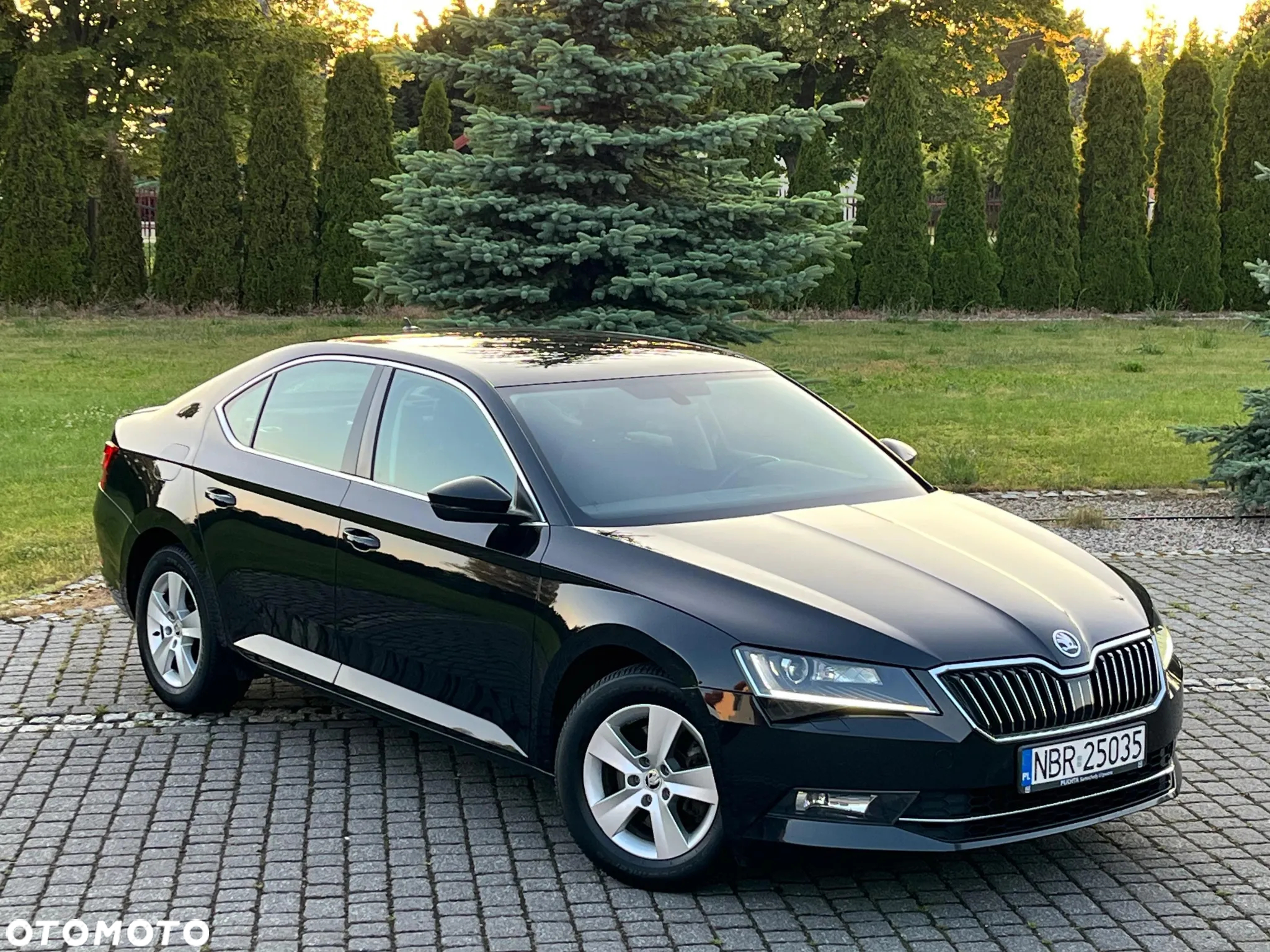 Skoda Superb - 20
