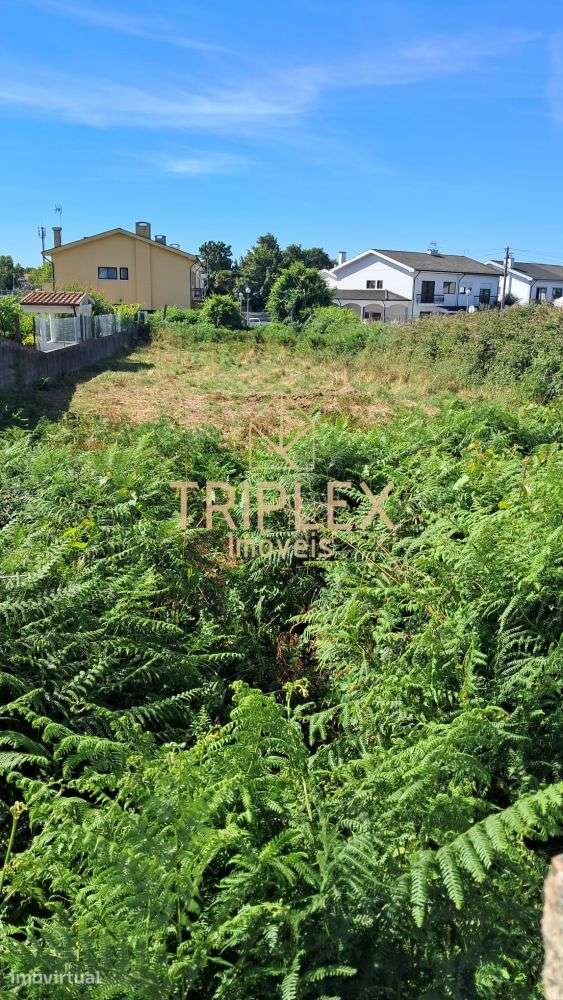 Terreno ao centro de Gueifães - Moradia 4 frentes - Grande imagem: 4/10