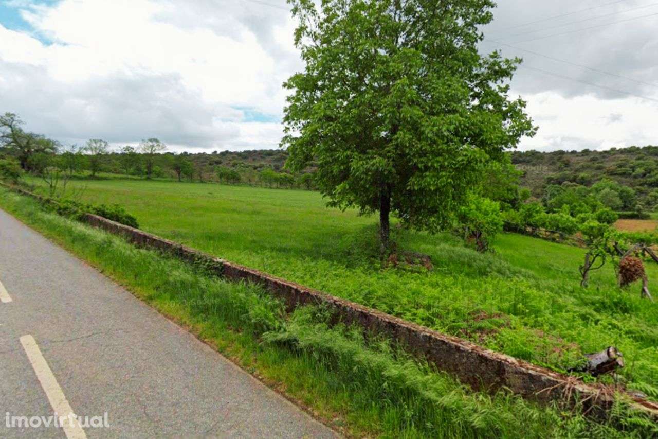 Terreno Agrícola para venda em Conlelas, Bragança - Grande imagem: 2/7