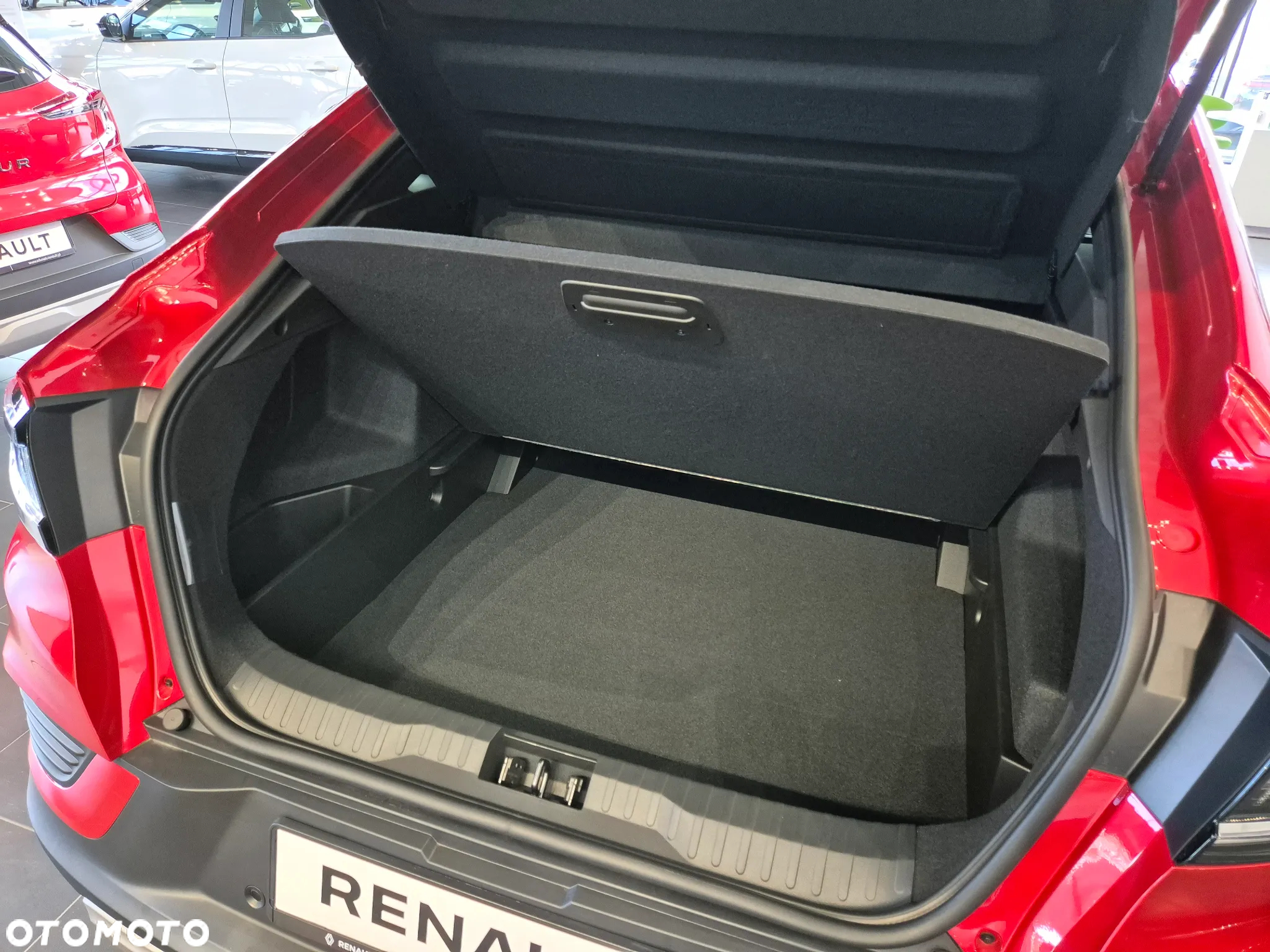 Renault Arkana - 38