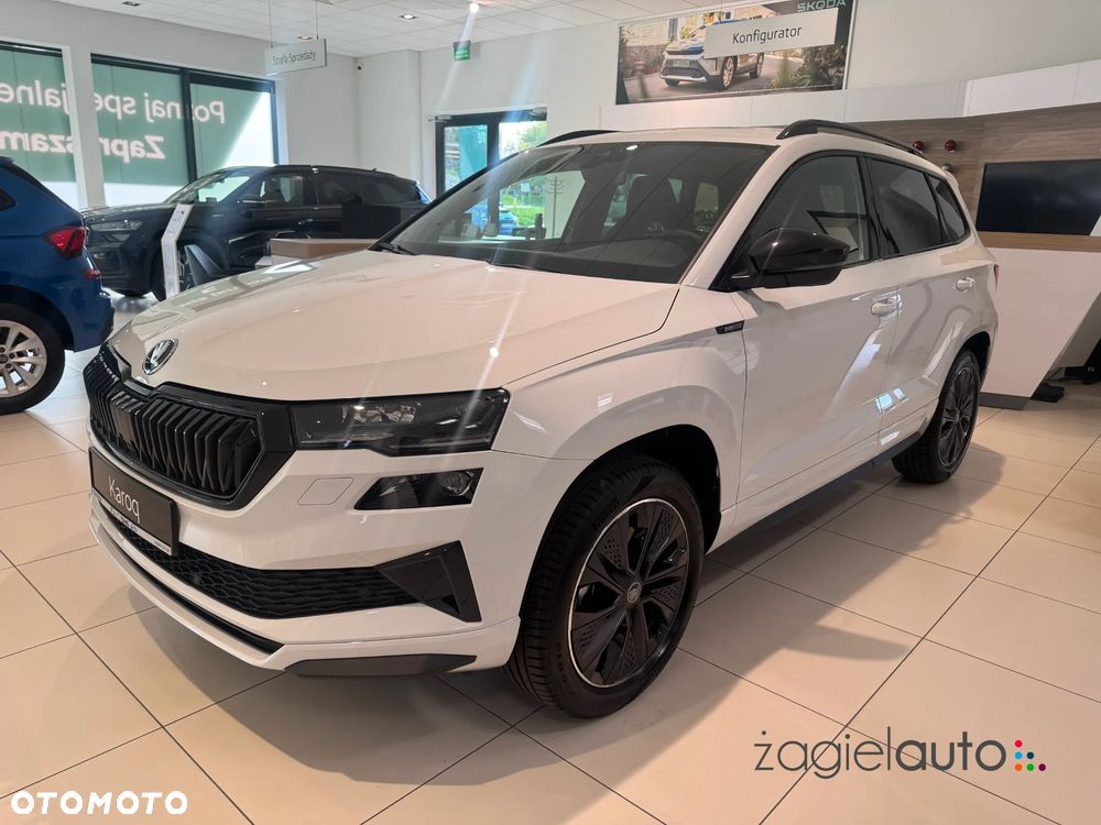 Skoda Karoq - 1