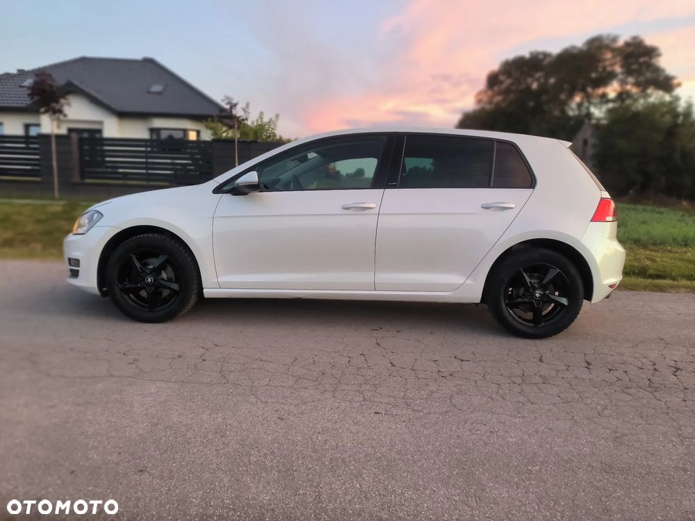 Volkswagen Golf 1.6 TDI BlueMotion Technology DSG Allstar - 20