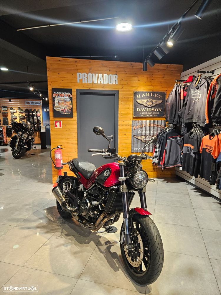 Benelli Leoncino Leoncino 500 - 12