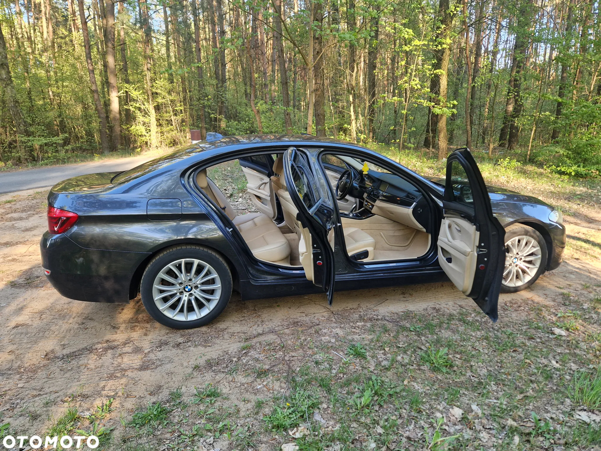 BMW Seria 5 520d Luxury Line sport - 26
