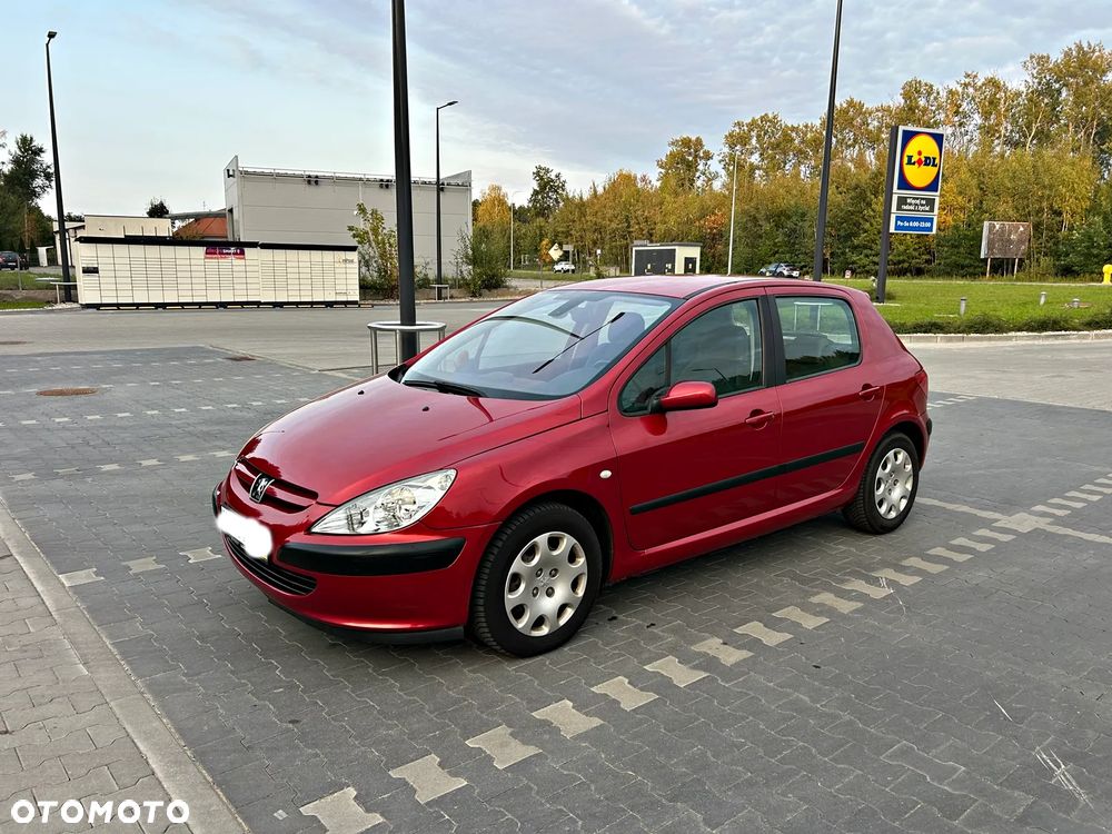 Peugeot 307 1.6 Premium - 8