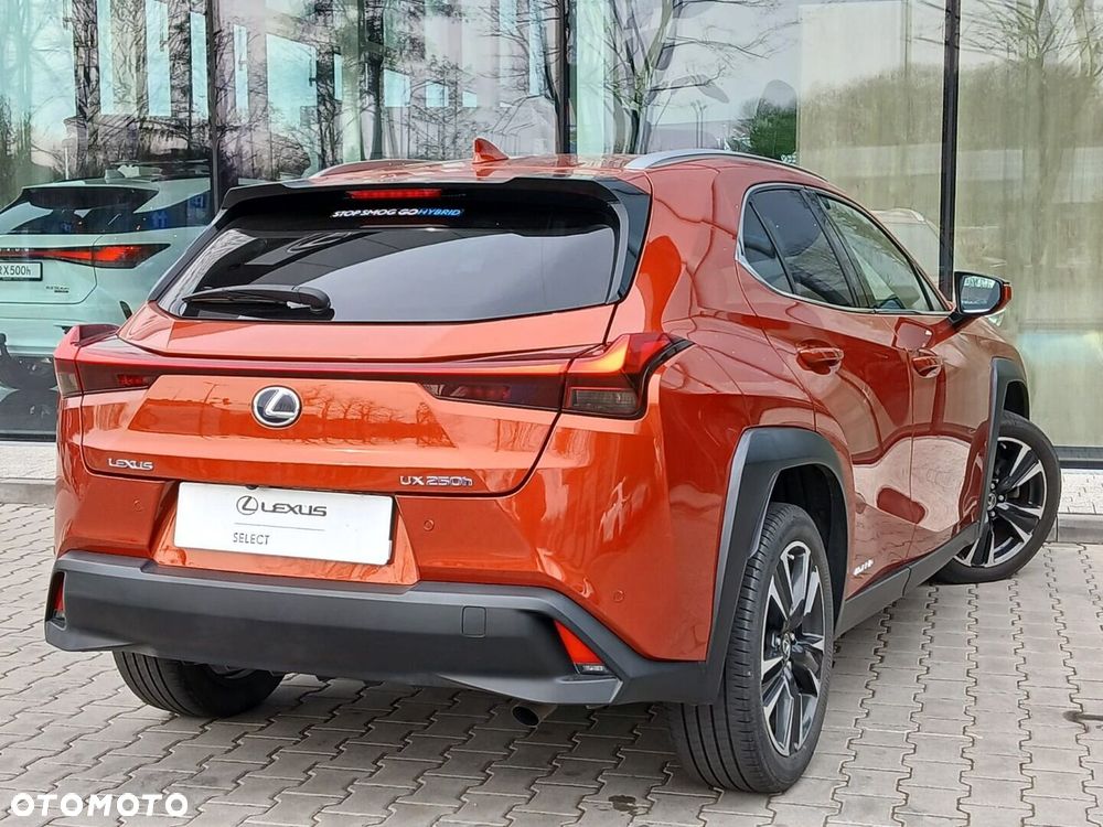 Lexus UX 250h GPF Business Edition 2WD - 12