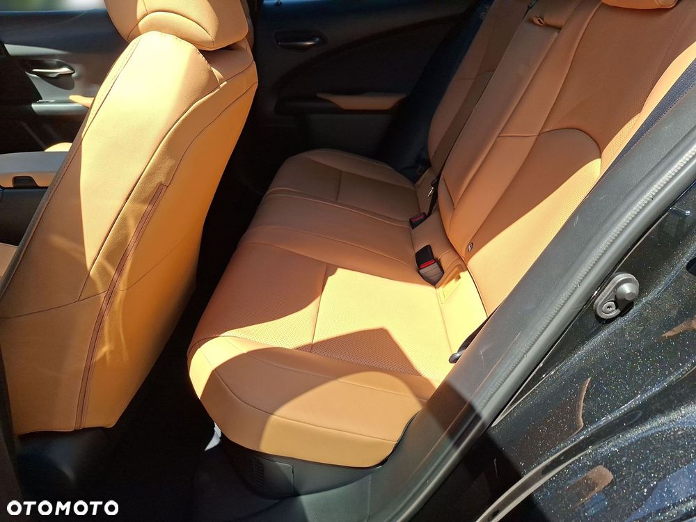 Lexus UX - 15