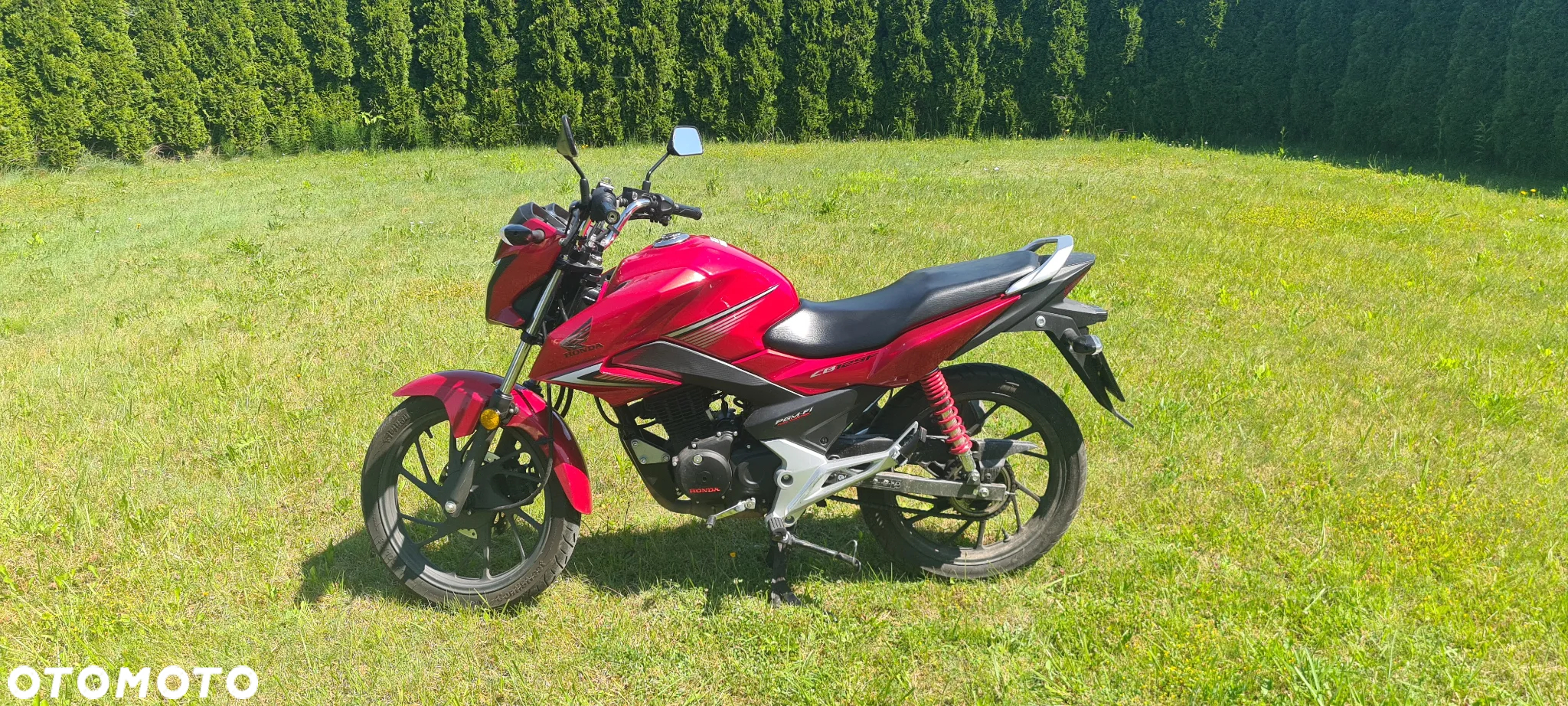 Honda CBF - 2