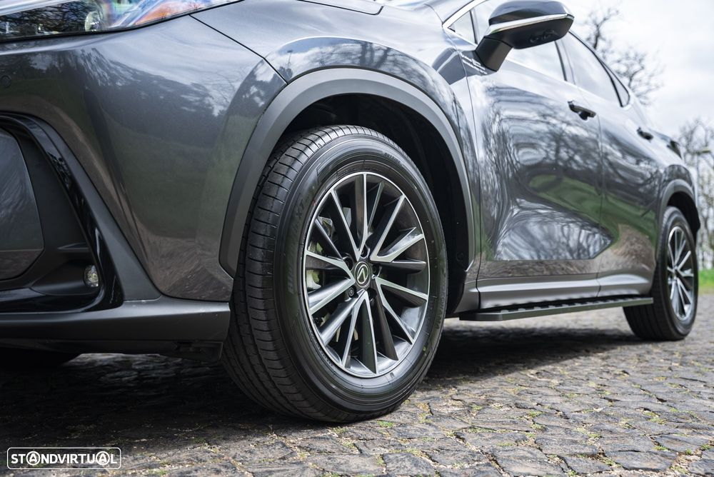 Lexus NX 450h+ - 31