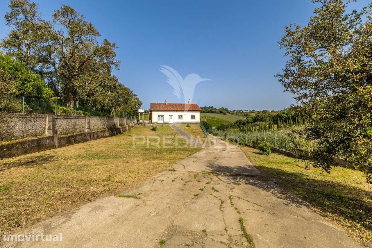 Quinta em Alcobaça para comprar. - Grande imagem: 3/39