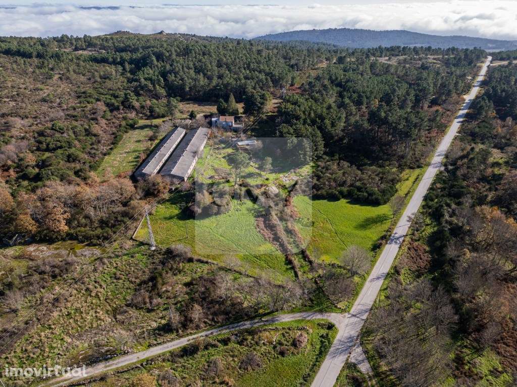 Terreno de 12.491m2 com Moradia T3 e Outras Edificações - Grande imagem: 2/17