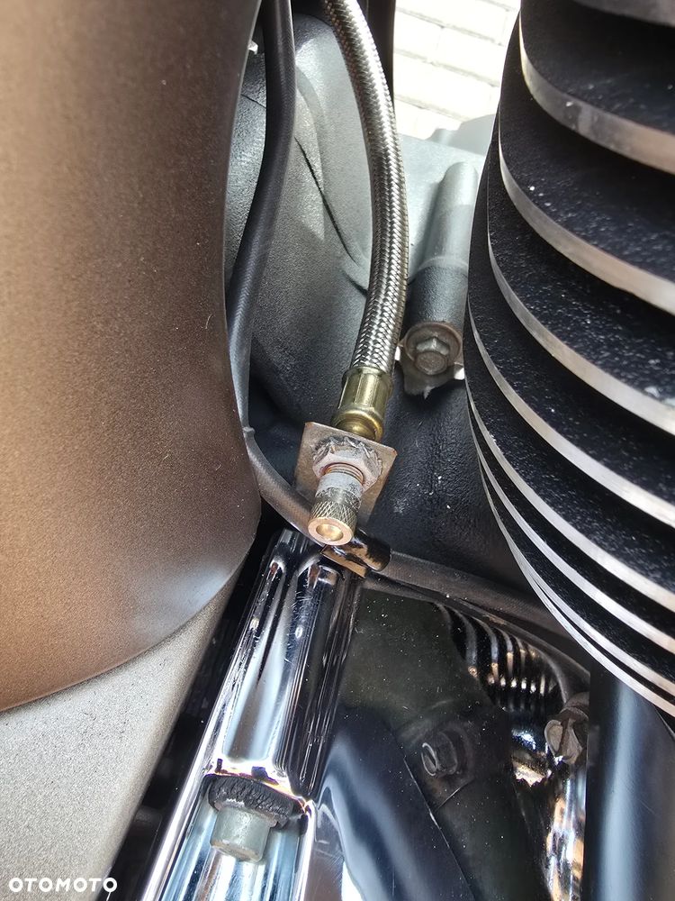 Indian Chieftain - 26