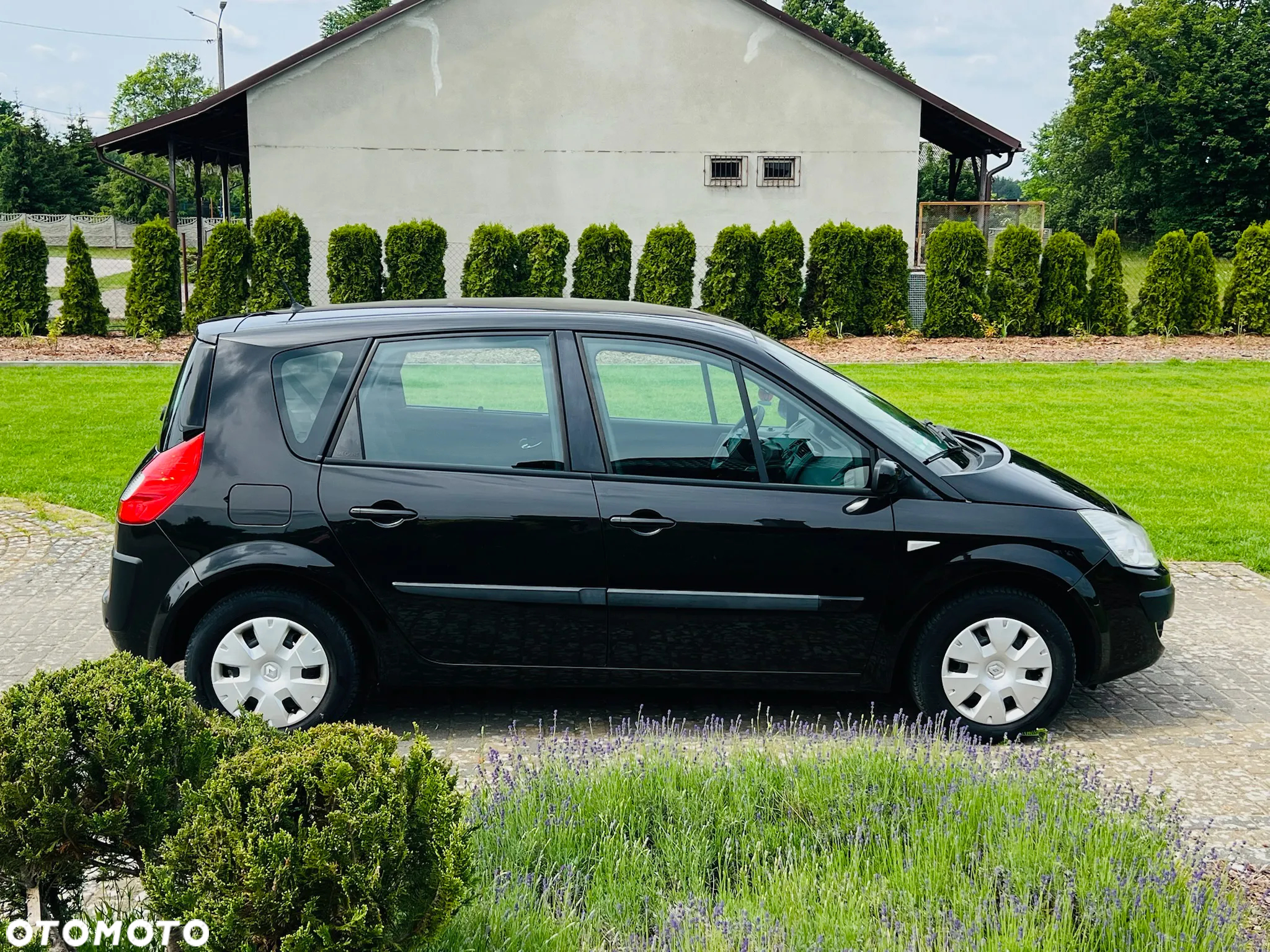 Renault Scenic 1.6 16V 110 Dynamique - 7