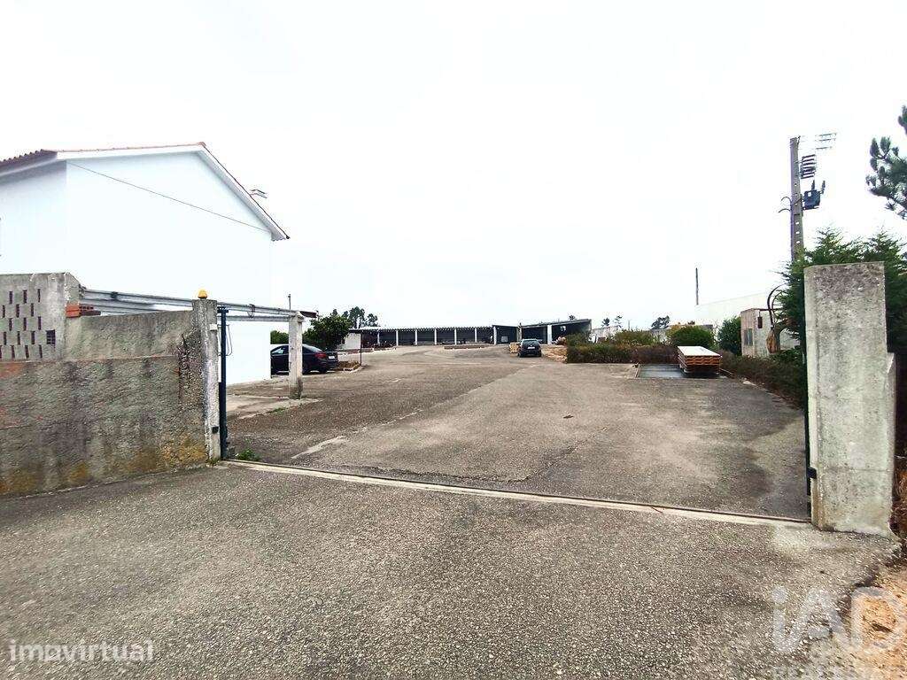 Terreno industrial em Vieira de Leiria - Grande imagem: 4/31