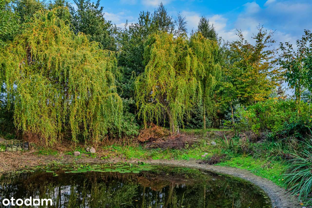 Nowoczesny dom z dużym ogrodem i stawem – Sobota, gm. Bielawy - Pełny obrazek: 3/18