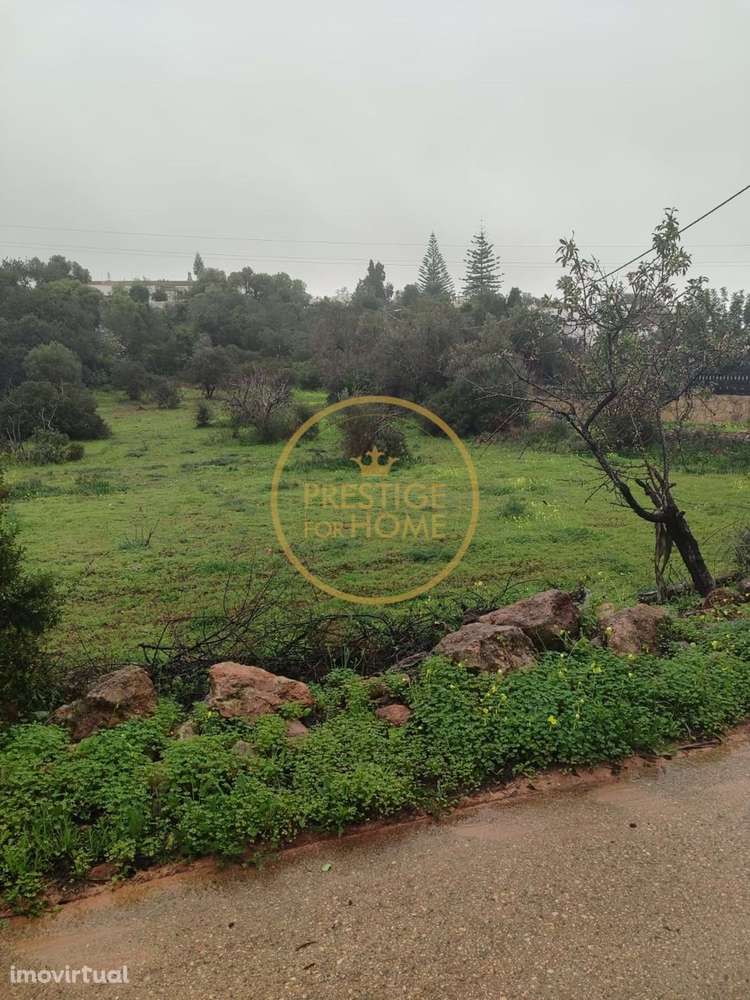 Prédio rústico localizado num lote de terreno destinado a habitação co - Grande imagem: 3/6