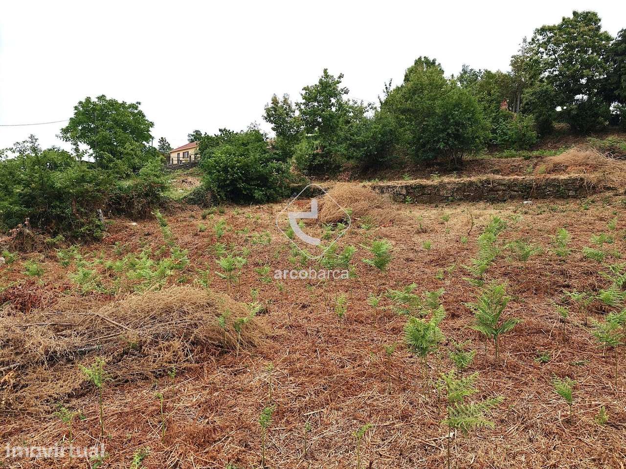 Terreno em zona de expansão urbana e duas  ruinas (habitação) - Formar - Grande imagem: 2/7
