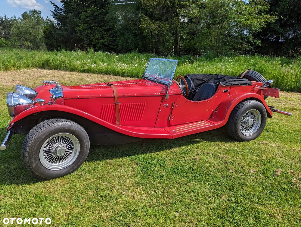 Jaguar Inny - 4