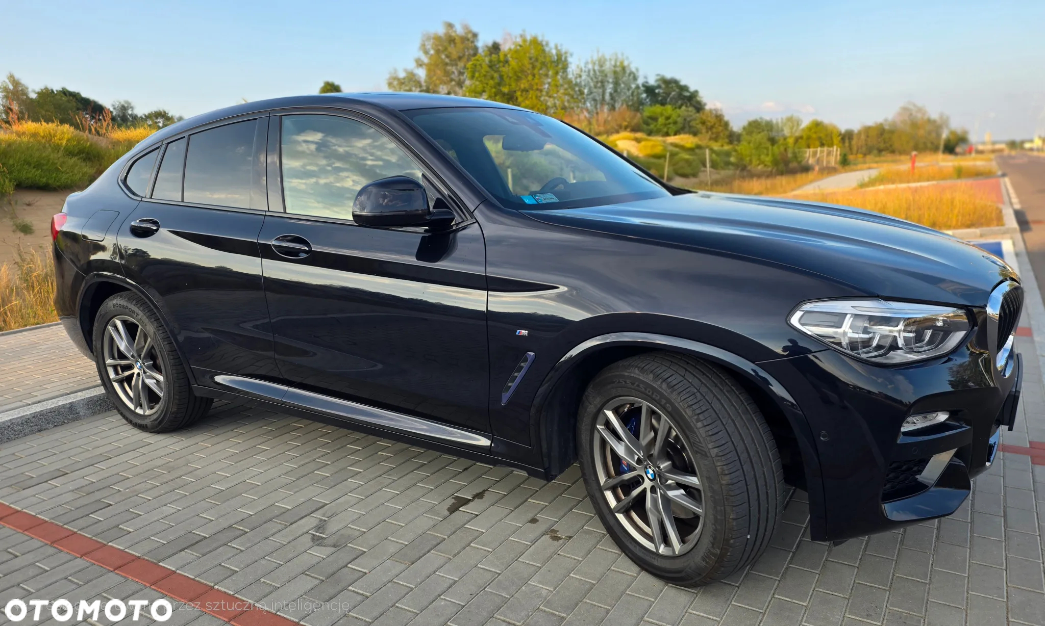BMW X4 xDrive30i GPF M Sport X sport - 5