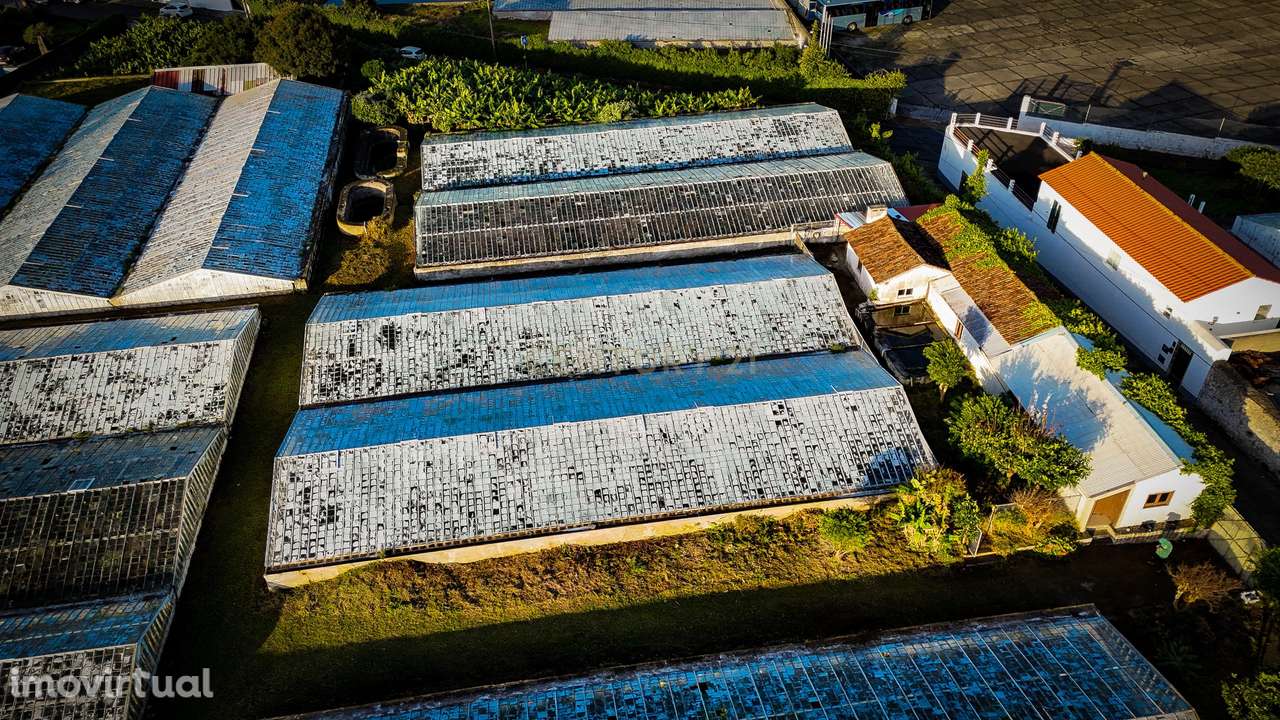 Propriedade Única com Estufas de Ananases e Potencial Urbano — Abelhei - Grande imagem: 2/27