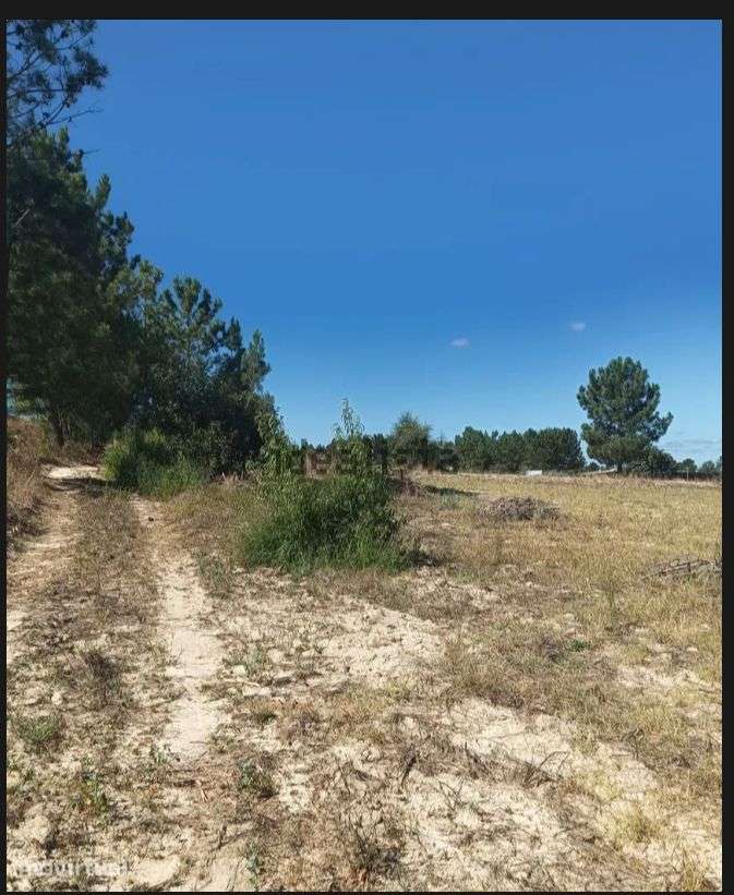 Terreno Branca - Grande imagem: 2/3