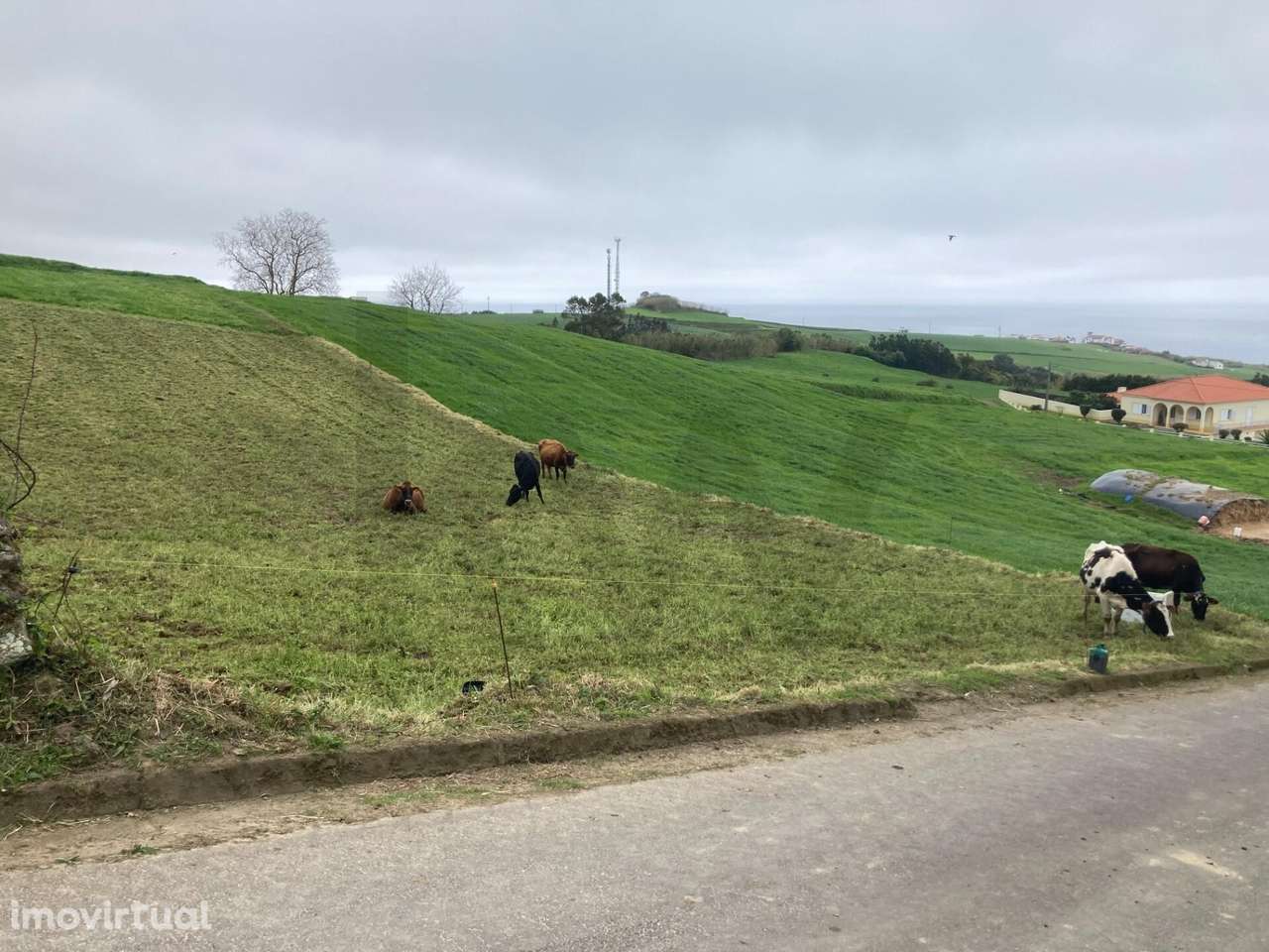 Terreno - Grande imagem: 3/6