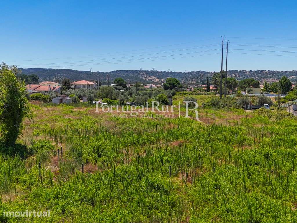 Terreno Agrícola com Viabilidade de Construção - Grande imagem: 3/8