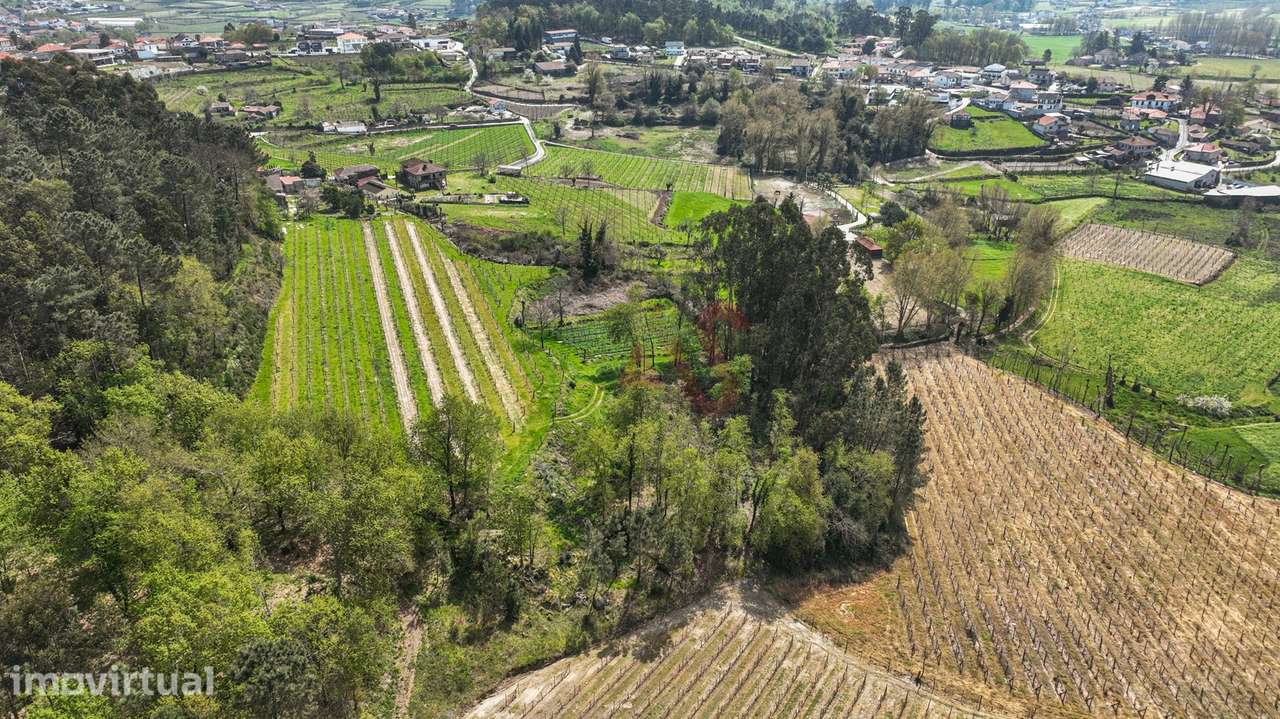 Terreno com 3.300 m² em Pedreira, Rande e Sernande, Felgueiras - Grande imagem: 4/13
