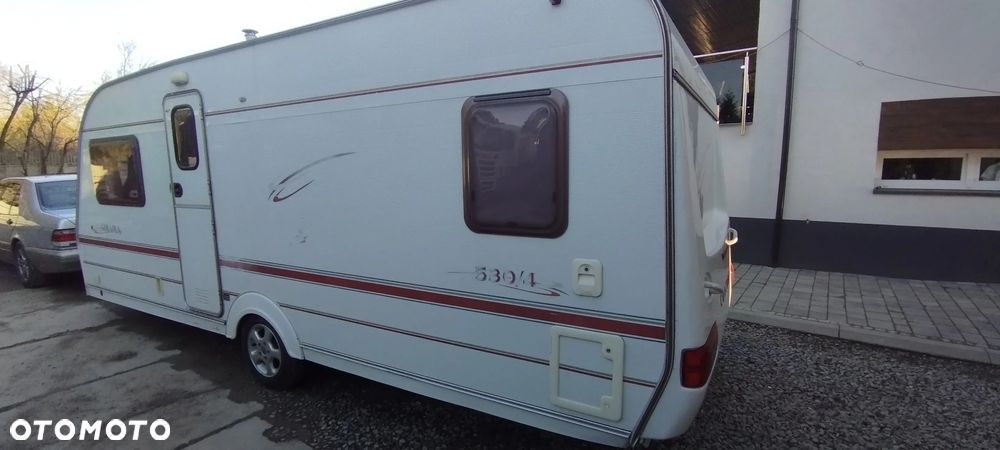 Coachman Amara - 14