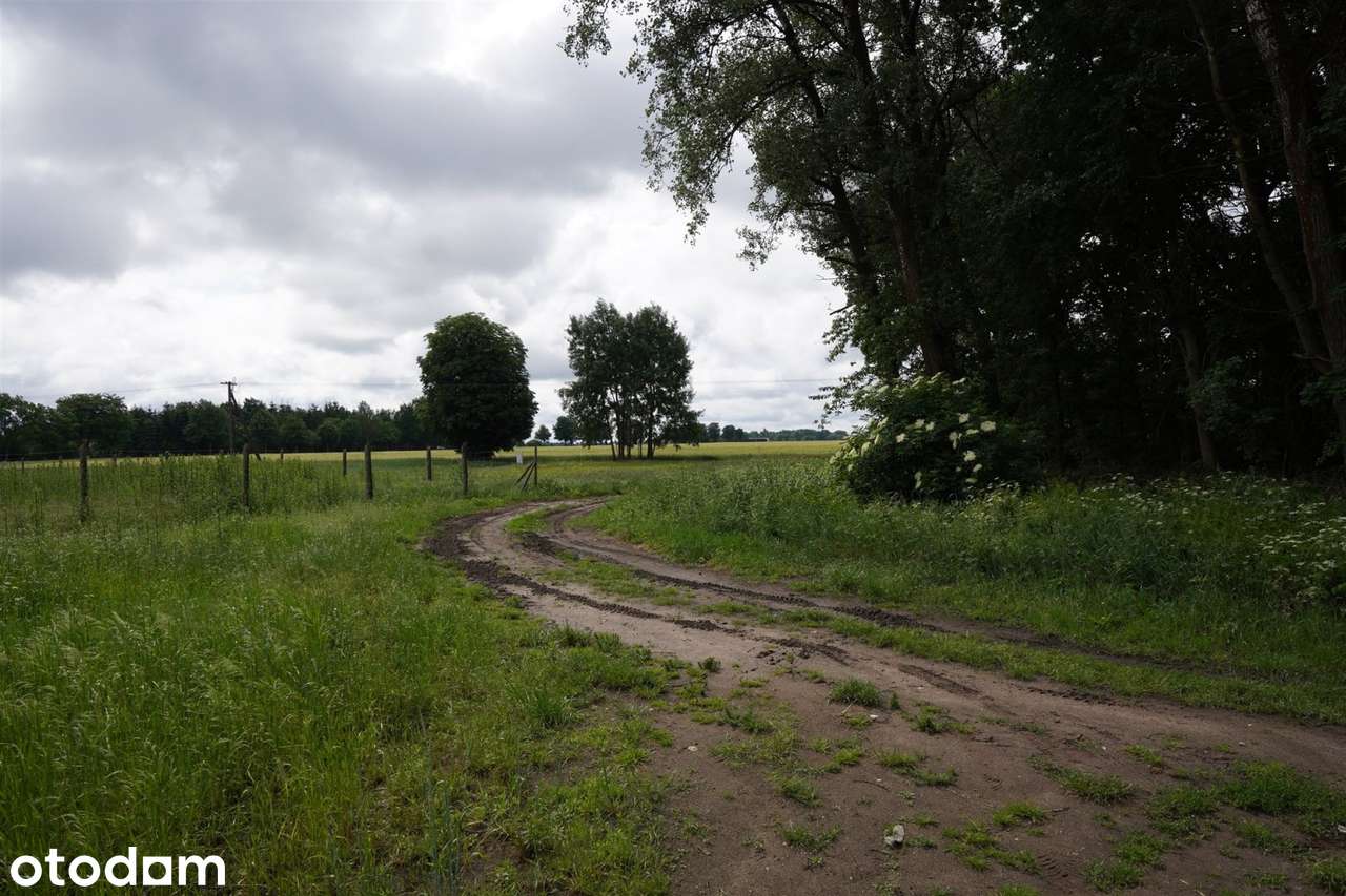 Działka Z Warunkami Zabudowy Budziszewko - Pełny obrazek: 2/10