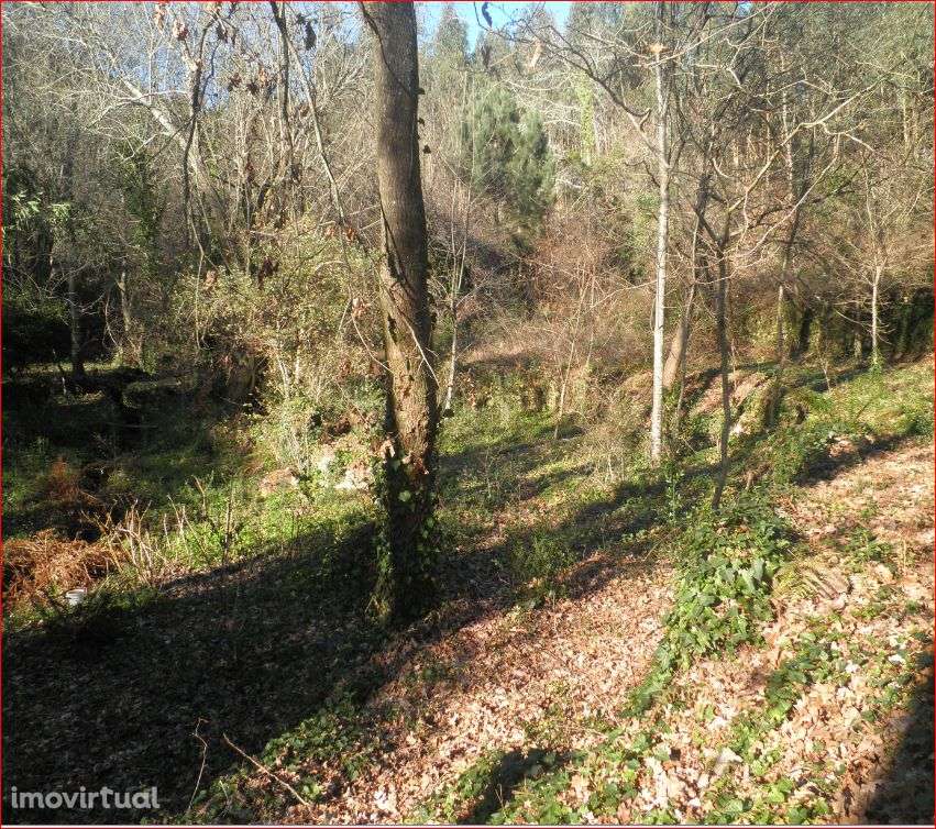 Terreno junto ao rio – Sever do Vouga - Grande imagem: 4/11