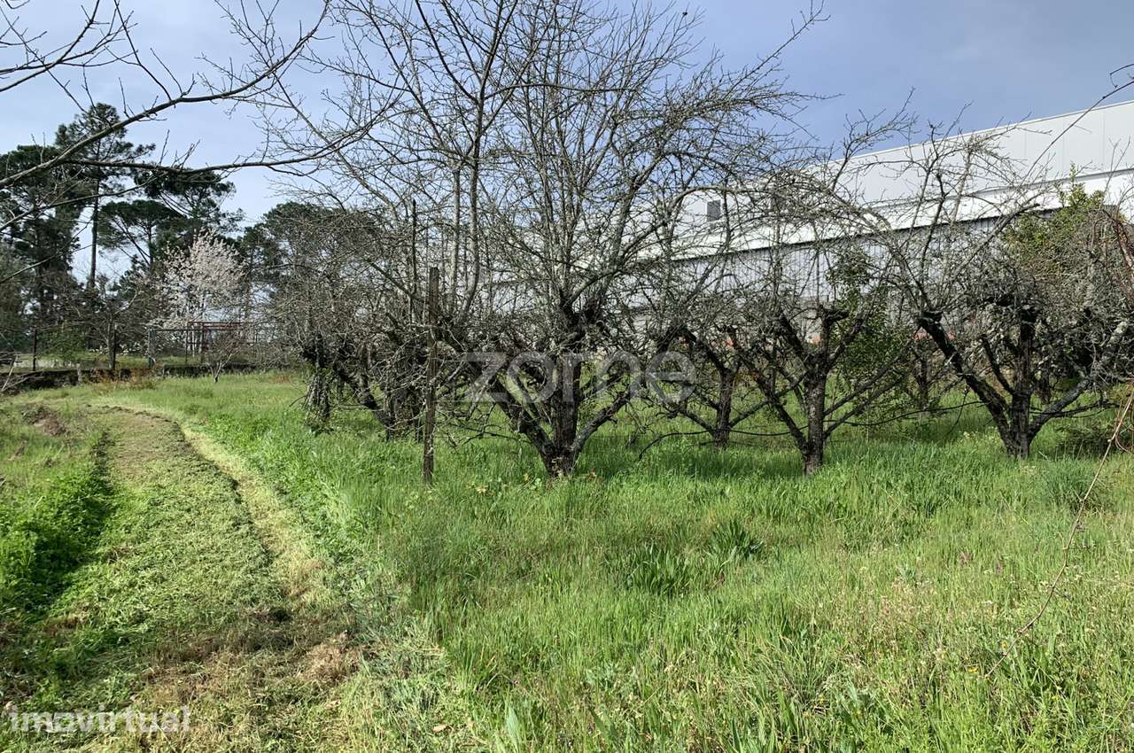 Terreno Urbanizável - Grande imagem: 4/16