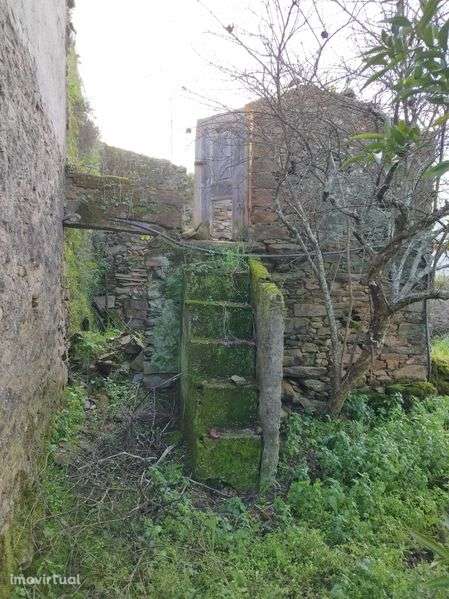 Casa antiga com terreno - Grande imagem: 3/7