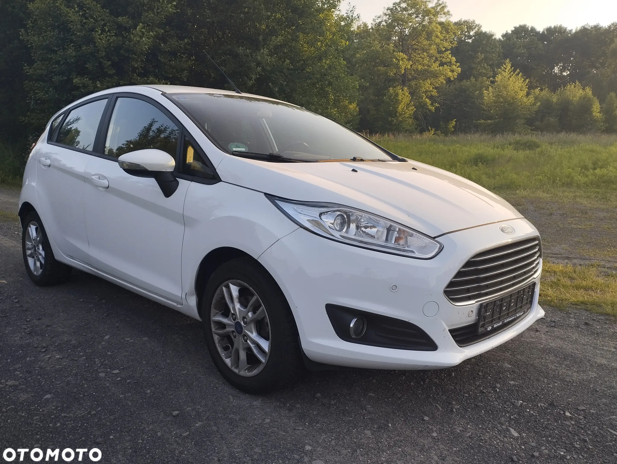 Ford Fiesta - 15