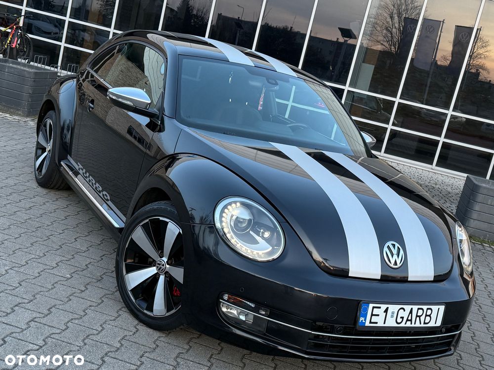 Volkswagen Beetle - 23