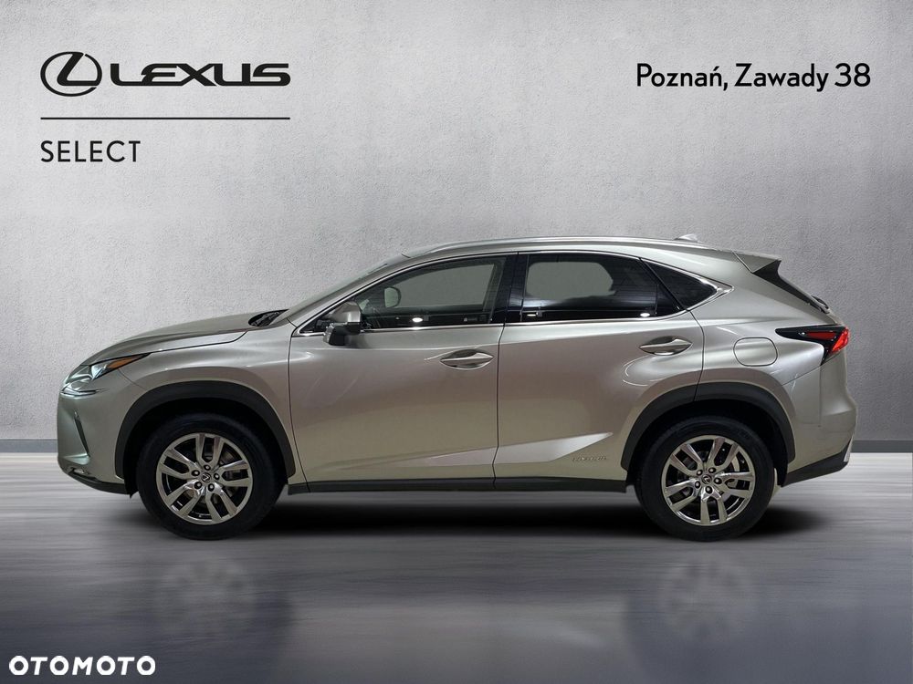 Lexus NX 300h Business Edition AWD - 7