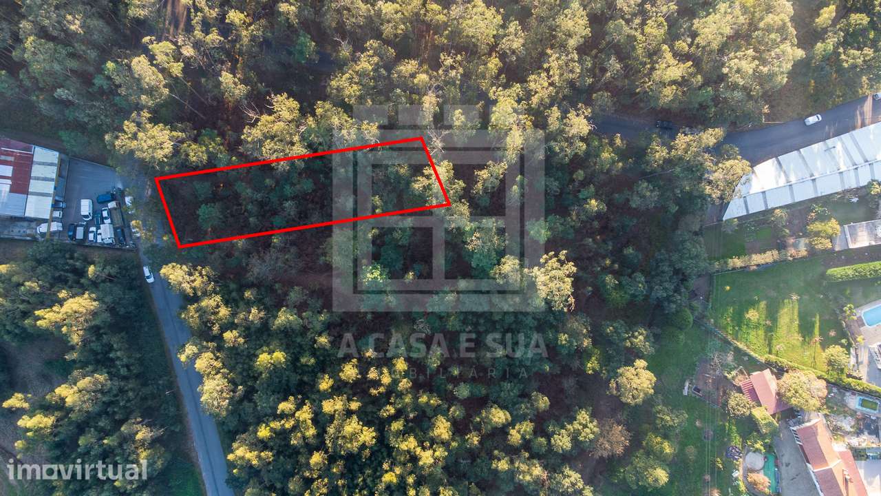 Lote com projeto aprovado para armazém em Cucujães - Grande imagem: 4/13